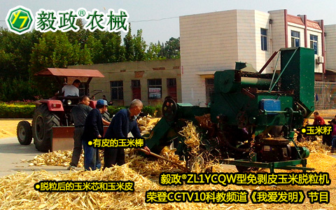 中央電視臺10套《我愛發(fā)明》之“巧剝黃金?！秉S金巧幫手